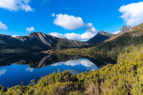 Cradle Mountain National Park Day Tour From Launceston - Hobart Tourism 3