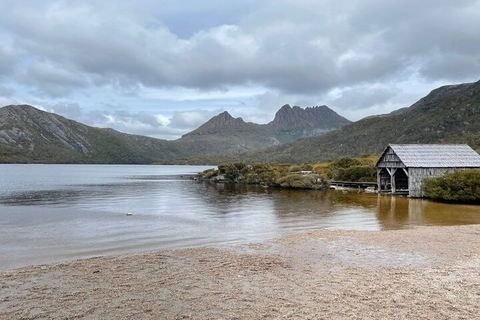 Cradle Mountain National Park Day Tour From Launceston - Hobart Tourism 4