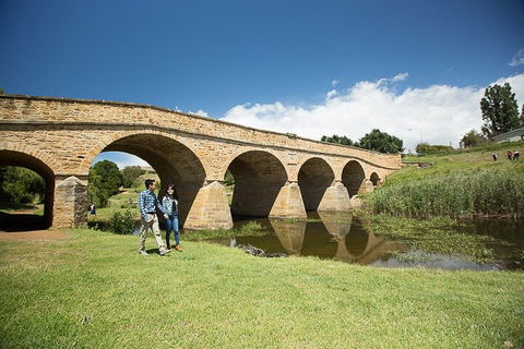 Bonorong Wildlife Park And Richmond Afternoon Tour From Hobart - Hobart Tourism 0