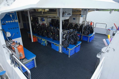 Silverswift Outer Great Barrier Reef Dive And Snorkel Cruise From Cairns - Hobart Tourism 0