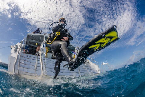 Silverswift Outer Great Barrier Reef Dive And Snorkel Cruise From Cairns - Hobart Tourism 1