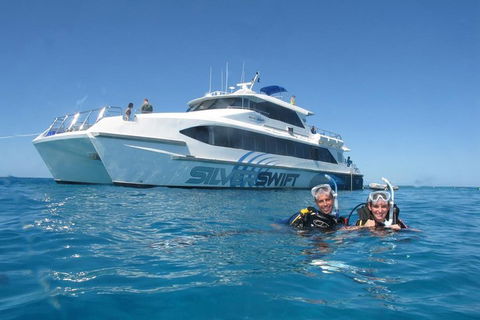 Silverswift Outer Great Barrier Reef Dive And Snorkel Cruise From Cairns - Hobart Tourism 4