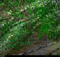 Green Island Eco Adventure from Cairns - Hobart Tourism