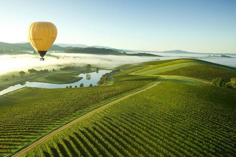 Half-Day Or Full-Day Tour With Private Guide From Melbourne - Tourism TAS 4