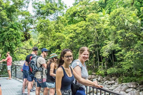 Cape Tribulation, Mossman Gorge, And Daintree Rainforest Day Trip From Cairns Or Port Douglas - Tourism TAS 0