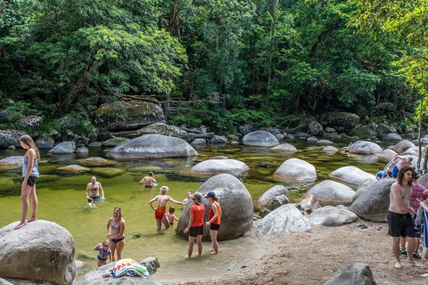 Cape Tribulation, Mossman Gorge, And Daintree Rainforest Day Trip From Cairns Or Port Douglas - Tourism TAS 1