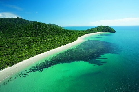 Cape Tribulation, Mossman Gorge, And Daintree Rainforest Day Trip From Cairns Or Port Douglas - Tourism TAS 2