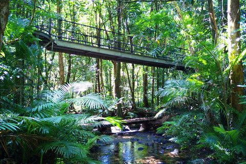 Cape Tribulation, Mossman Gorge, And Daintree Rainforest Day Trip From Cairns Or Port Douglas - Tourism TAS 3