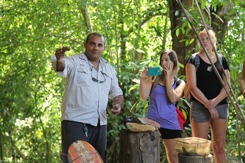 Cape Tribulation, Mossman Gorge, And Daintree Rainforest Day Trip From Cairns Or Port Douglas - Tourism TAS 4