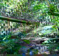 Double Pack-Ancient Rainforest and Waterfalls - Hobart Tourism