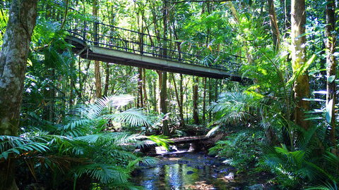 Double Pack-Ancient Rainforest And Waterfalls! - Hobart Tourism 0