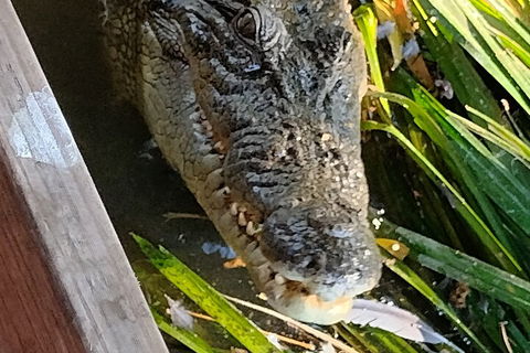 Litchfield Park Adventures And Jumping Crocodile Cruise + Butterfly Farm - Tourism TAS 1