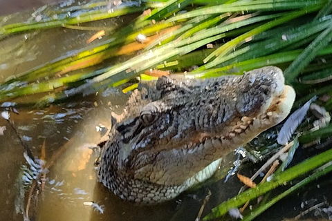 Litchfield Park Adventures And Jumping Crocodile Cruise + Butterfly Farm - Tourism TAS 4
