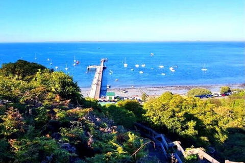Mornington Peninsula Sightseeing Tour For 2-6 Guests. - Tourism TAS 1