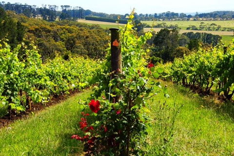 Mornington Peninsula Sightseeing Tour For 2-6 Guests. - Tourism TAS 3