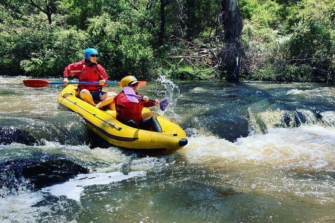 Yarra River Half-Day Rafting Experience - Hobart Tourism 4