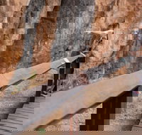 Chillagoe Caves and Outback Day Trip from Cairns - Hobart Tourism