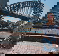 Sydney Private Tours by Locals 100 Personalized See the City Unscripted - Hobart Tourism