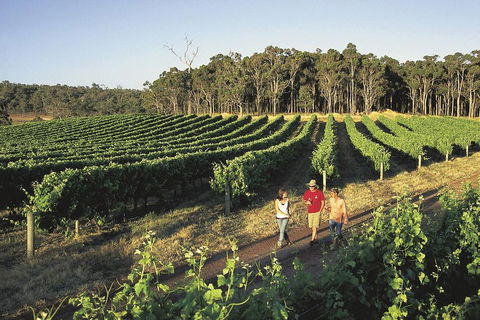Margaret River, Caves, Wine And Cape Leeuwin Lighthouse Tour From Perth - Tourism TAS 1