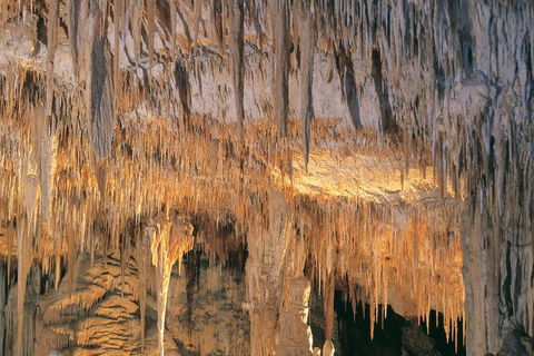 Margaret River, Caves, Wine And Cape Leeuwin Lighthouse Tour From Perth - Tourism TAS 3