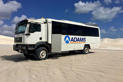 Pinnacles Desert, Koalas And Sandboarding 4WD Day Tour From Perth - Hobart Tourism 2