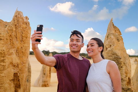 Pinnacles Desert, Koalas And Sandboarding 4WD Day Tour From Perth - Hobart Tourism 4