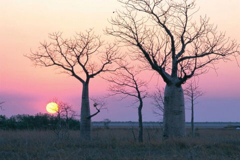 8-Day Outback Experience From Queensland - Hobart Tourism 5