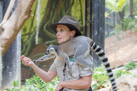 Currumbin Wildlife Sanctuary General Entry Ticket - Hobart Tourism 1