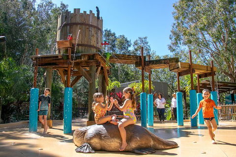 Currumbin Wildlife Sanctuary General Entry Ticket - Hobart Tourism 5