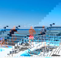 Calypso Outer Great Barrier Reef Cruise from Port Douglas - Tourism TAS
