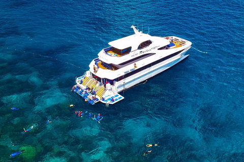 Great Barrier Reef Snorkeling And Diving Cruise From Cairns - Hobart Tourism 5