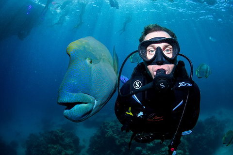 Full Day Reef Cruise Including 10 Minute Heli Scenic Flight: Get High Package - Hobart Tourism 1