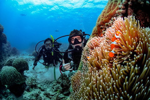 Full Day Reef Cruise Including 10 Minute Heli Scenic Flight: Get High Package - Hobart Tourism 5