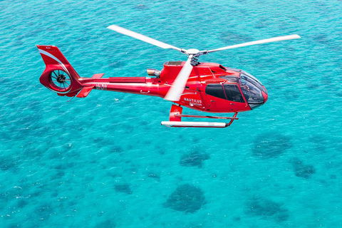Helicopter And Cruise Packages From Port Douglas - Tourism TAS 5