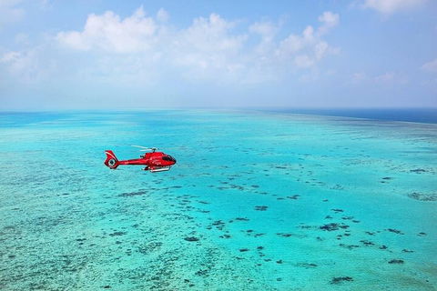 Ultimate Great Barrier Reef And Rainforest 45-minute Helicopter Tour - Tourism TAS 2