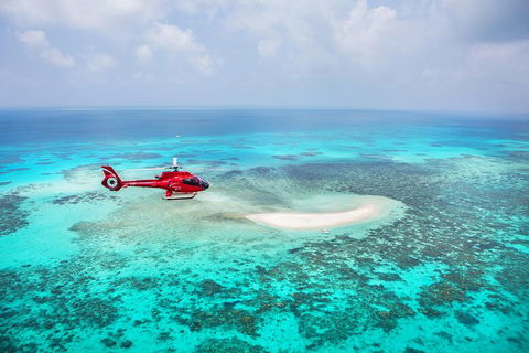 Ultimate Great Barrier Reef And Rainforest 45-minute Helicopter Tour - Tourism TAS 3