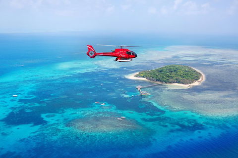 Ultimate Great Barrier Reef And Rainforest 45-minute Helicopter Tour - Tourism TAS 4
