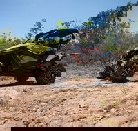 License to Thrill 1.5 Hour Off-road Tour in Darwin 1 person 2 seater vehicle - Hobart Tourism