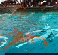 Moreton Island Snorkel and Sandboarding 4WD Day Trip from Brisbane - Tourism TAS