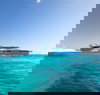 Fremantle to Rottnest Island Roundtrip Ferry Ticket - Tourism TAS