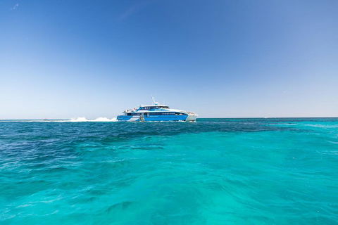 Rottnest Island Bike & Ferry Package From Fremantle - Hobart Tourism 0
