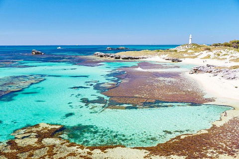 Rottnest Island Bike & Ferry Package From Fremantle - Hobart Tourism 5