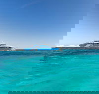 Rottnest Island Bayseeker Day Trip from Perth - Hobart Tourism