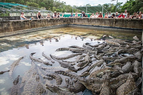 Hartley's Crocodile Adventures Day Trip From Cairns - Tourism TAS 0