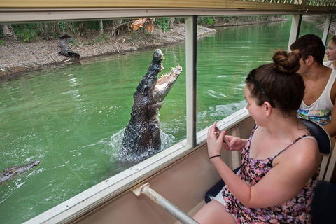 Hartley's Crocodile Adventures Day Trip From Cairns - Tourism TAS 3