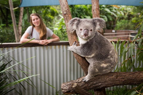 Hartley's Crocodile Adventures Day Trip From Palm Cove - Tourism TAS 5