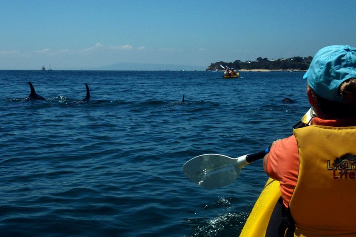  Tourism TAS