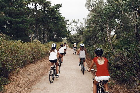 Self-Guided Point Nepean National Park Bike Hire - Tourism TAS 3