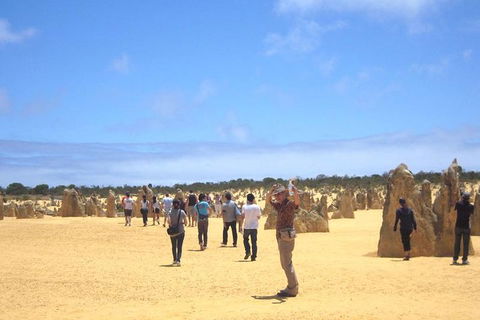 Pinnacles & Rottnest Island Scenic Air & Ground Tour - Hobart Tourism 3