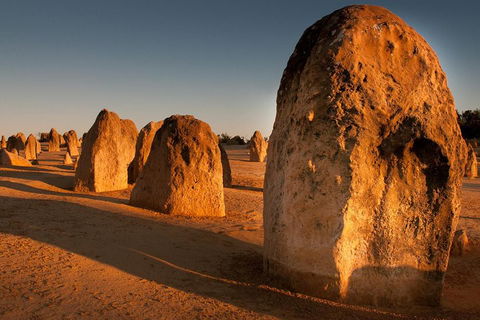 Pinnacles & Rottnest Island Scenic Air & Ground Tour - Hobart Tourism 4